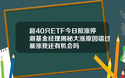 超40只ETF今日掀涨停潮基金经理揭秘大涨原因错过暴涨我还有机会吗