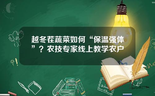 越冬茬蔬菜如何“保温强体”？农技专家线上教学农户