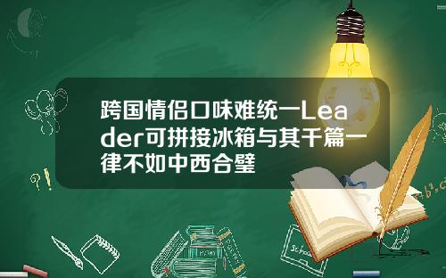 跨国情侣口味难统一Leader可拼接冰箱与其千篇一律不如中西合璧