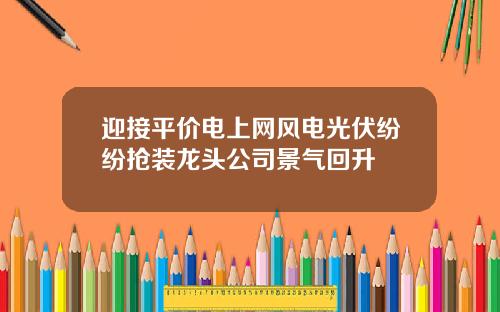 迎接平价电上网风电光伏纷纷抢装龙头公司景气回升