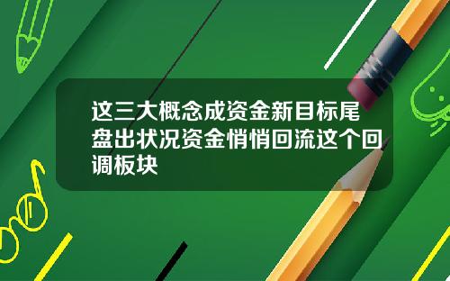 这三大概念成资金新目标尾盘出状况资金悄悄回流这个回调板块