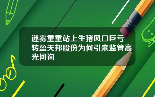 迷雾重重站上生猪风口巨亏转盈天邦股份为何引来监管高光问询