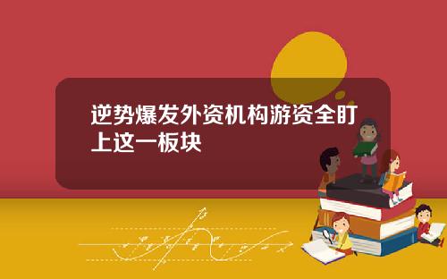 逆势爆发外资机构游资全盯上这一板块
