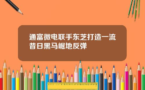 通富微电联手东芝打造一流昔日黑马崛地反弹
