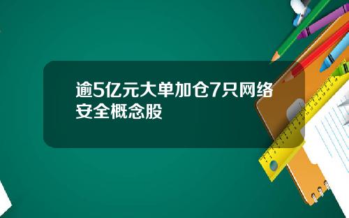 逾5亿元大单加仓7只网络安全概念股