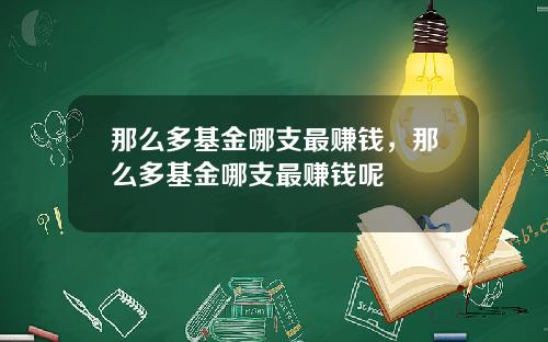 那么多基金哪支最赚钱，那么多基金哪支最赚钱呢