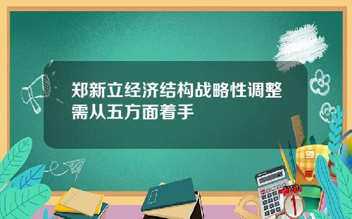 郑新立经济结构战略性调整需从五方面着手