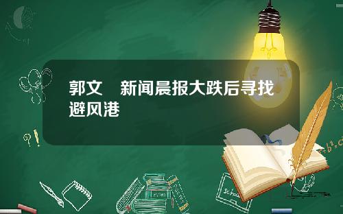 郭文珺新闻晨报大跌后寻找避风港