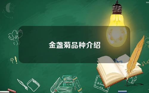 金盏菊品种介绍