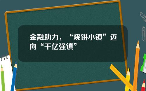 金融助力，“烧饼小镇”迈向“千亿强镇”