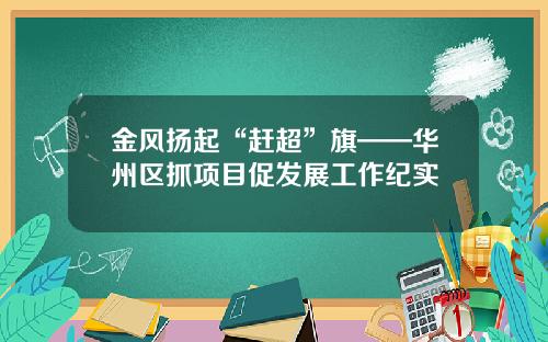 金风扬起“赶超”旗——华州区抓项目促发展工作纪实