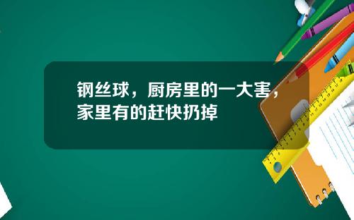 钢丝球，厨房里的一大害，家里有的赶快扔掉