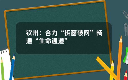 钦州：合力“拆窗破网”畅通“生命通道”