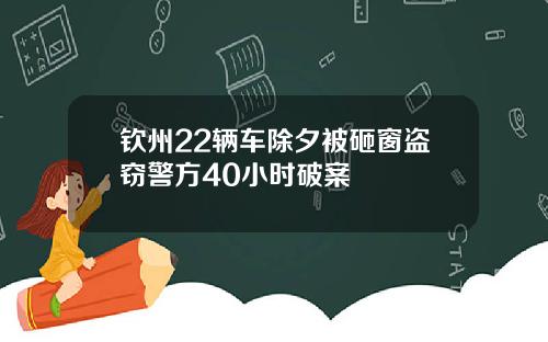 钦州22辆车除夕被砸窗盗窃警方40小时破案