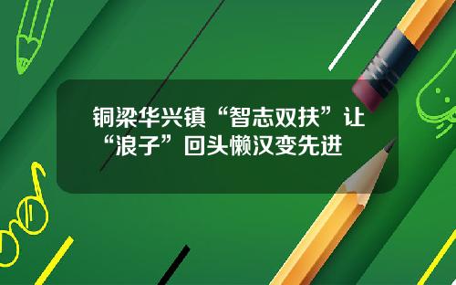 铜梁华兴镇“智志双扶”让“浪子”回头懒汉变先进