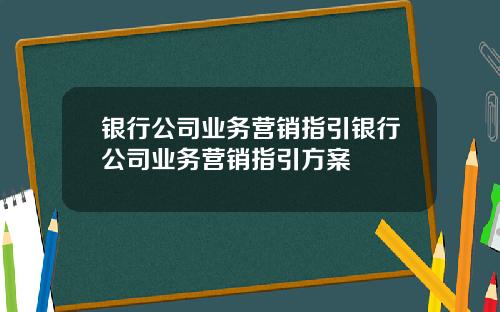 银行公司业务营销指引银行公司业务营销指引方案