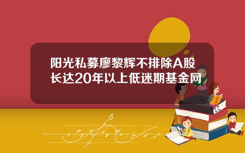 阳光私募廖黎辉不排除A股长达20年以上低迷期基金网