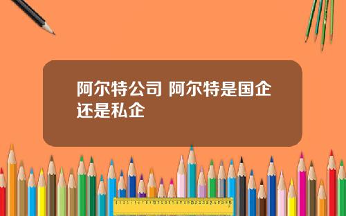 阿尔特公司 阿尔特是国企还是私企