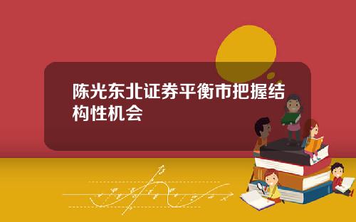 陈光东北证券平衡市把握结构性机会