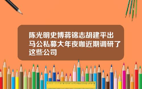陈光明史博蒋锦志胡建平出马公私募大年夜咖近期调研了这些公司