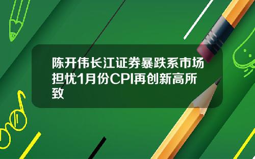 陈开伟长江证券暴跌系市场担忧1月份CPI再创新高所致