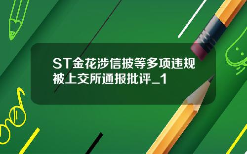 ST金花涉信披等多项违规被上交所通报批评_1
