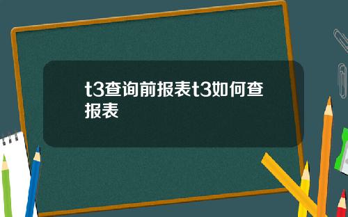 t3查询前报表t3如何查报表