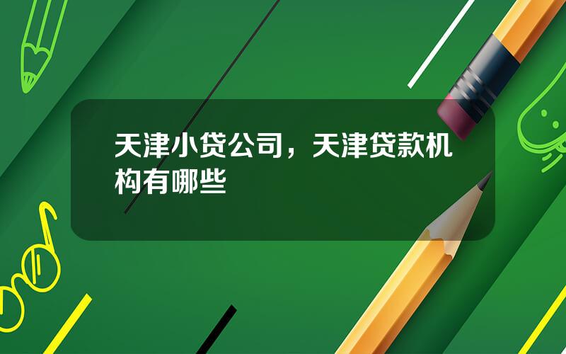 天津小贷公司，天津贷款机构有哪些