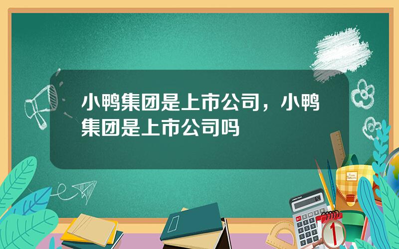 小鸭集团是上市公司，小鸭集团是上市公司吗