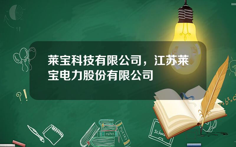 莱宝科技有限公司，江苏莱宝电力股份有限公司