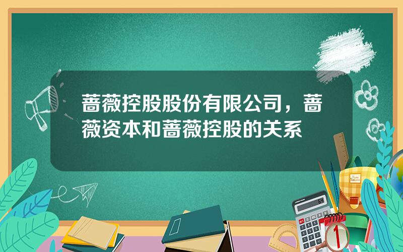 蔷薇控股股份有限公司，蔷薇资本和蔷薇控股的关系