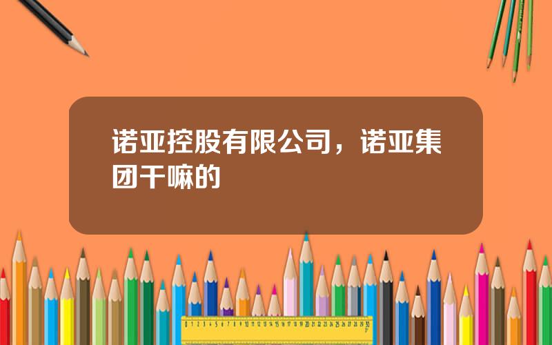 诺亚控股有限公司，诺亚集团干嘛的
