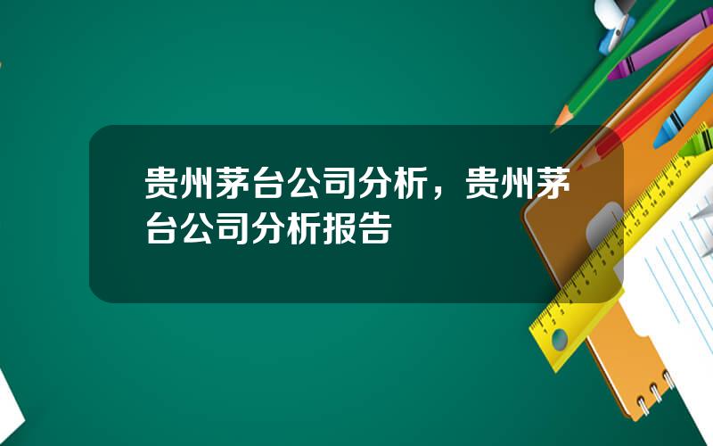 贵州茅台公司分析，贵州茅台公司分析报告