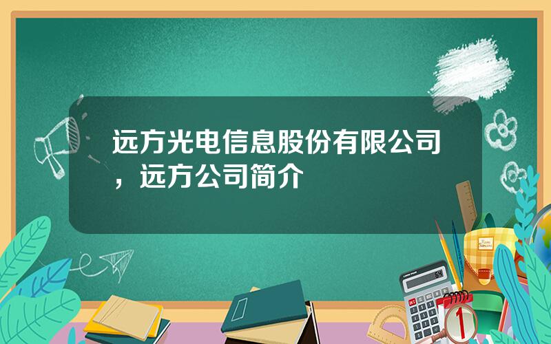 远方光电信息股份有限公司，远方公司简介