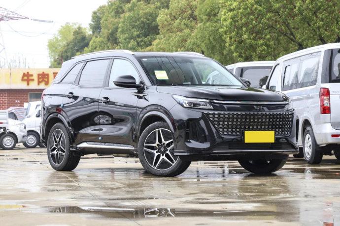 10来万预算买电混SUV，蓝电E5和启辰大V DD-i要怎么选？